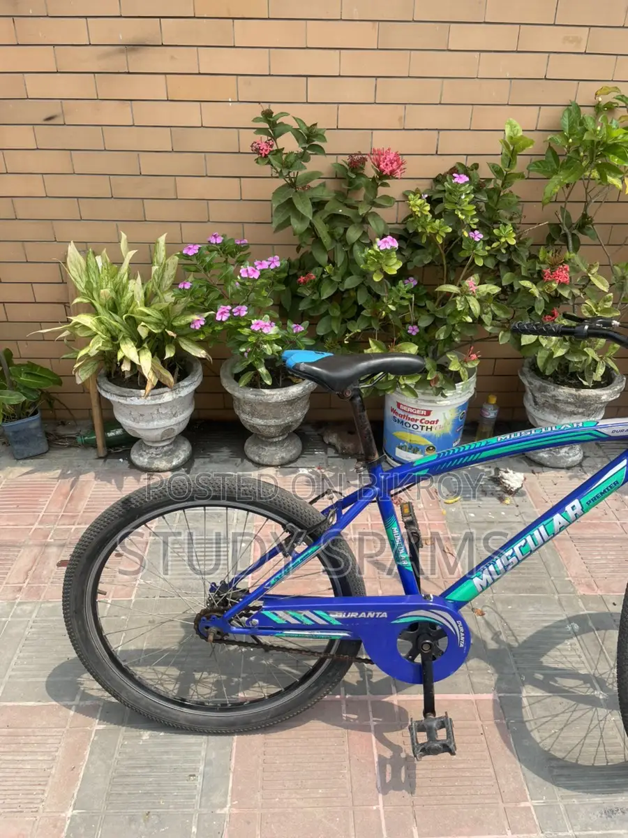 Cycle 24size: Duranta Muscular Premier