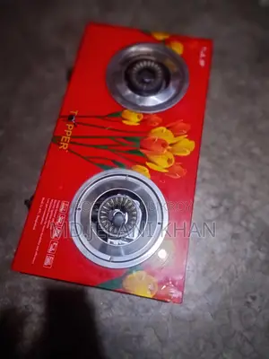 গ্যাসের চুল