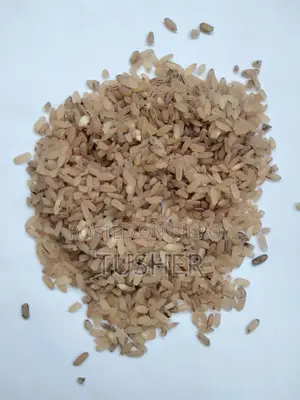 Organic Black Rice