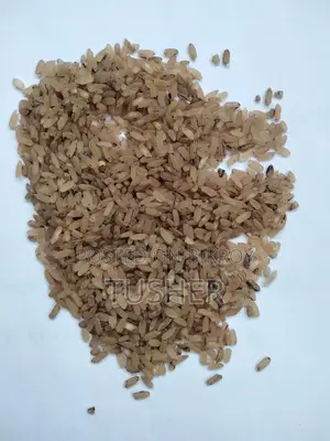 Organic Black Rice