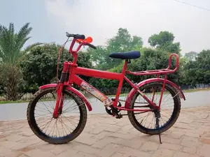 Dragon Ball Z 20″ Cycle | Fully Serviced Eid Gift ৳3,500