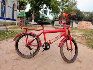 Dragon Ball Z 20″ Cycle | Fully Serviced Eid Gift ৳3,500