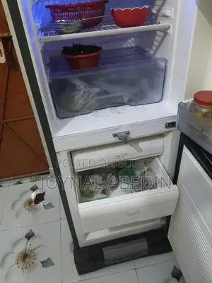 223-Liter Walton Fridge