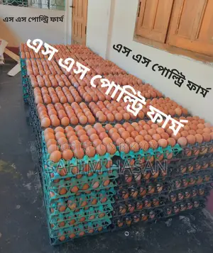 ডিম বিক্রি হবে