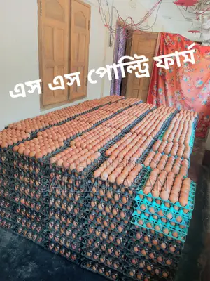 ডিম বিক্রি হবে