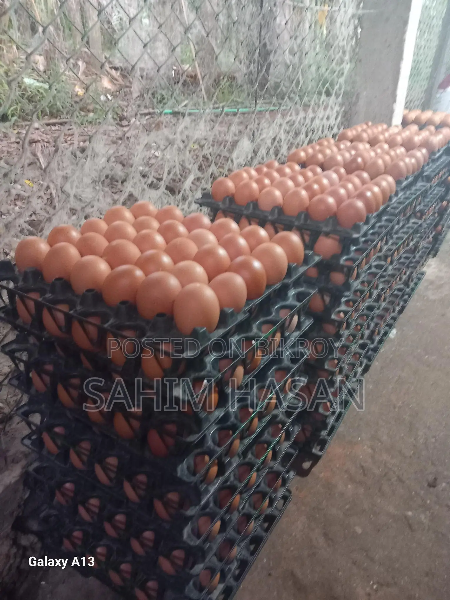 ডিম বিক্রি হবে
