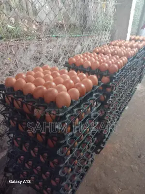 ডিম বিক্রি হবে