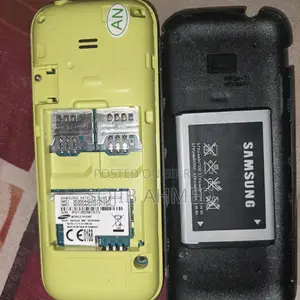 Samsung B313E (Used)