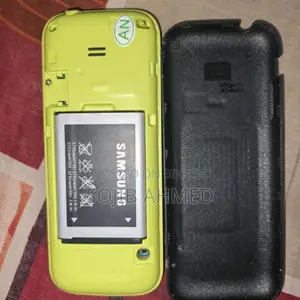 Samsung B313E (Used)