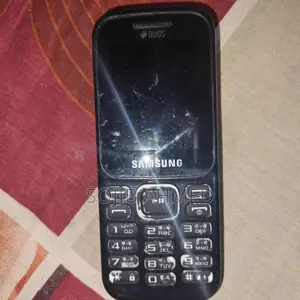 Samsung B313E (Used)