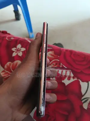 Vivo (Used)