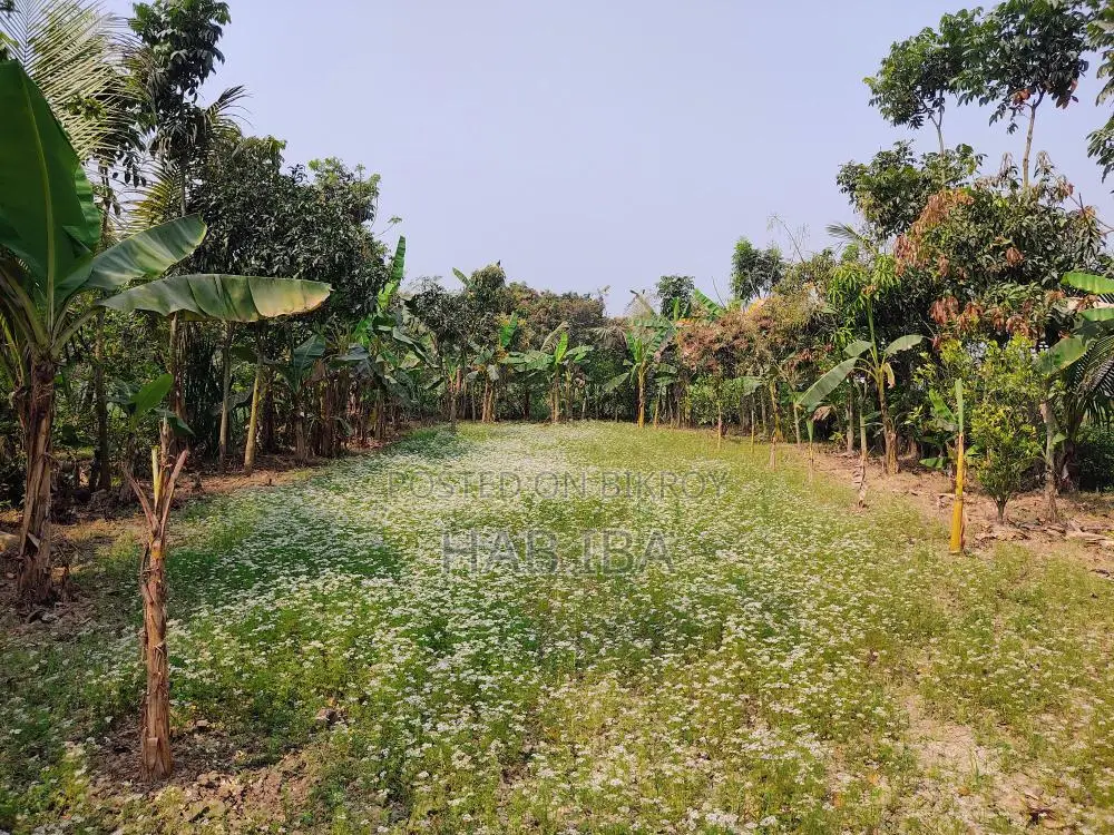 Urgent Land Sale