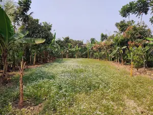 Urgent Land Sale