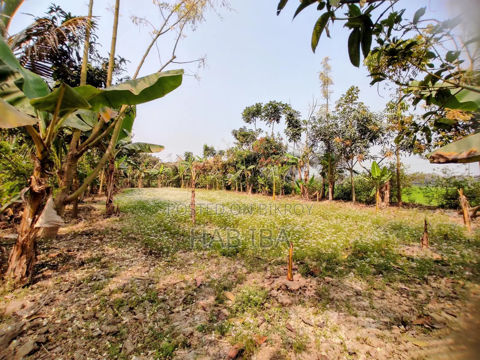 Urgent Land Sale
