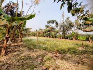 Urgent Land Sale