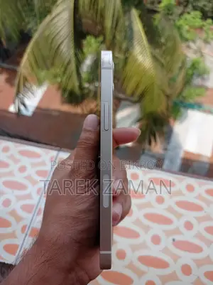 Apple iPhone 12 (Used)
