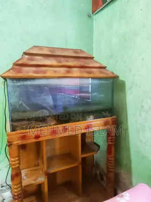 Aquarium