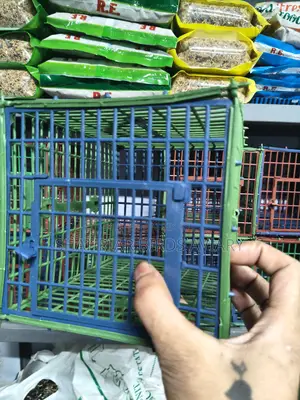 পাখির কেরিং কেইজ