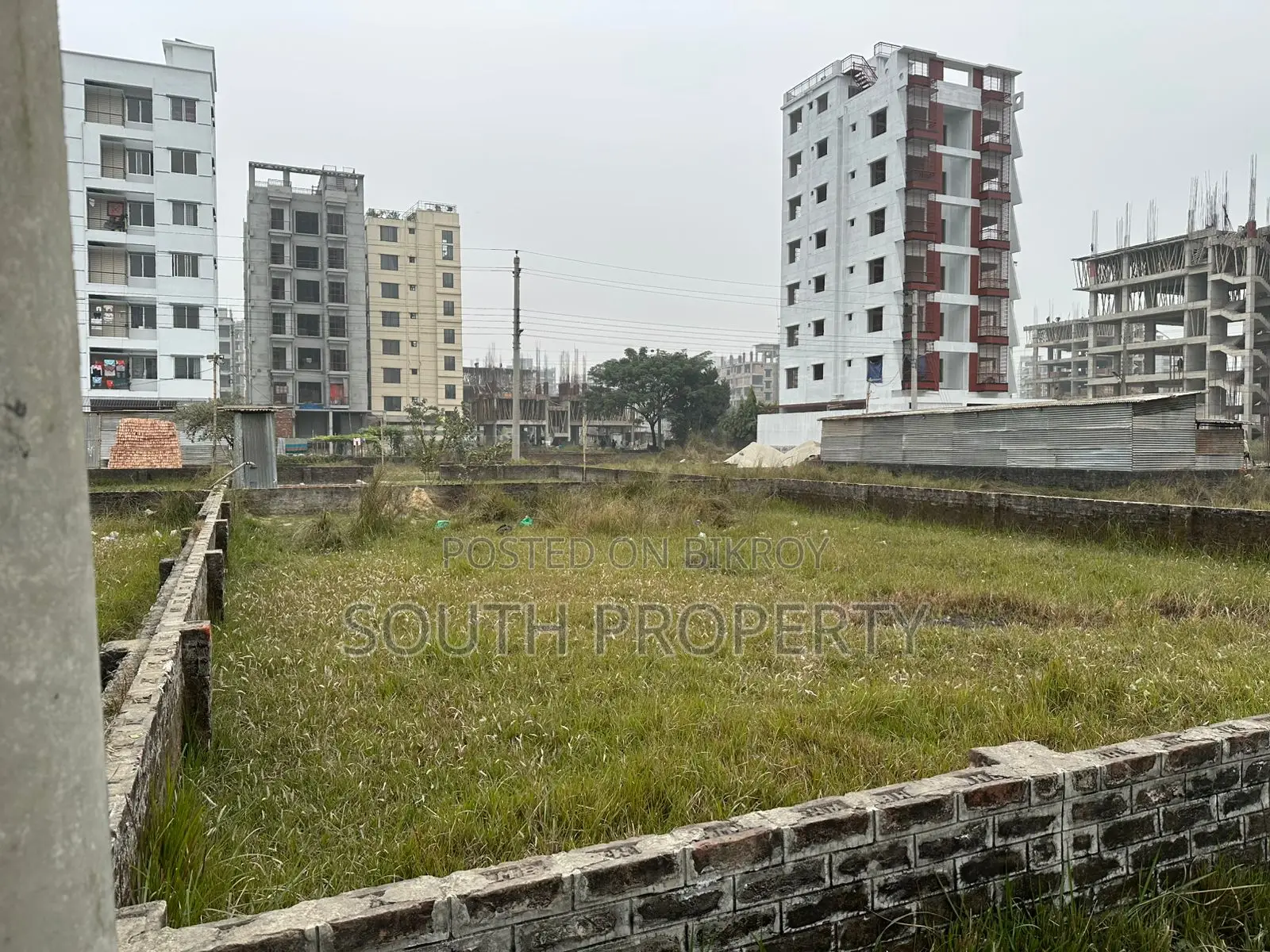 P Block, 3 Katha South-Facing Plot for Sale, Bashundhara Residential Area