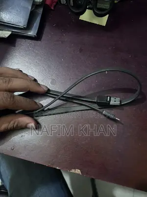 Apple Remex Cable (used)