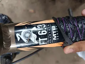 Selling My Bicycle