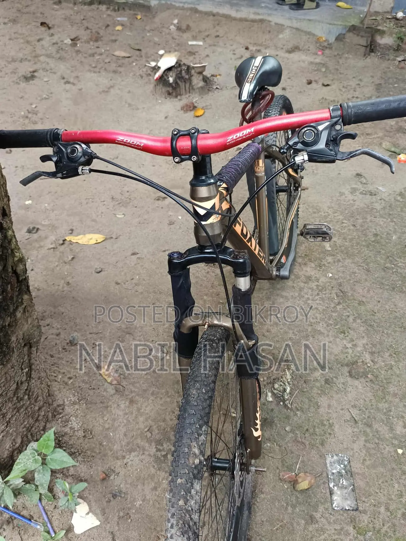 Selling My Bicycle