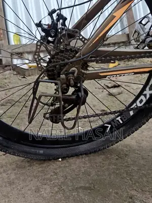 Selling My Bicycle
