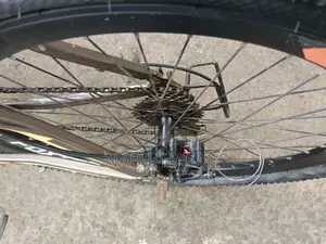 Selling My Bicycle