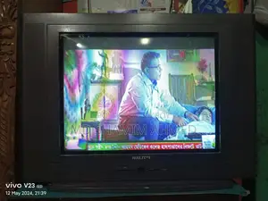 Walton 21" Color TV Flat CRT TV Tuner Pure WPF21T1