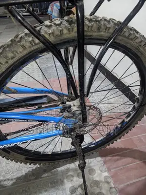Prince Cycle in Excellent Condition