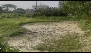 Clear Title Land for Sale in Pichlakandi, After Abdullahpur Bus Stand