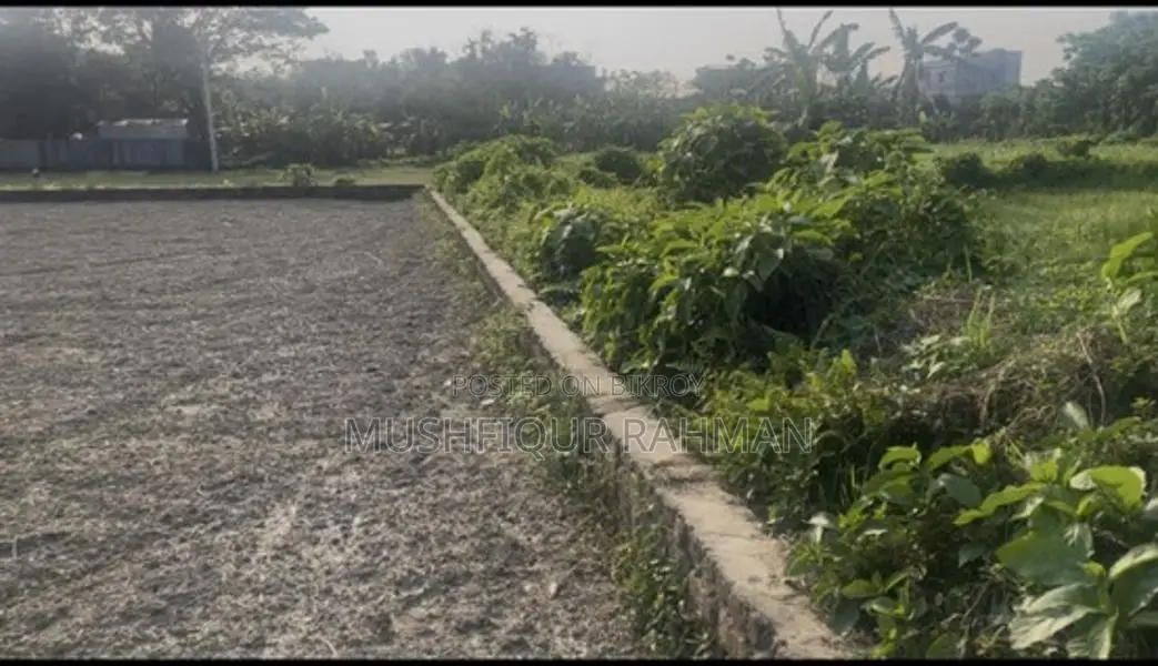 Clear Title Land for Sale in Pichlakandi, After Abdullahpur Bus Stand