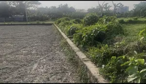Clear Title Land for Sale in Pichlakandi, After Abdullahpur Bus Stand