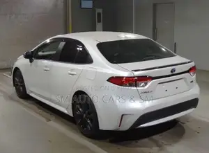 Toyota Corolla WXB Pearl Color 2021