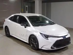 Toyota Corolla WXB Pearl Color 2021