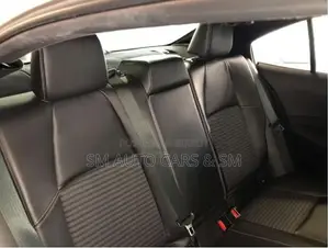 Toyota Corolla WXB Pearl Color 2021