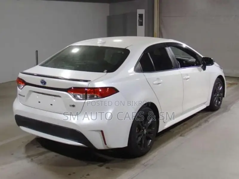 Toyota Corolla WXB Pearl Color 2021