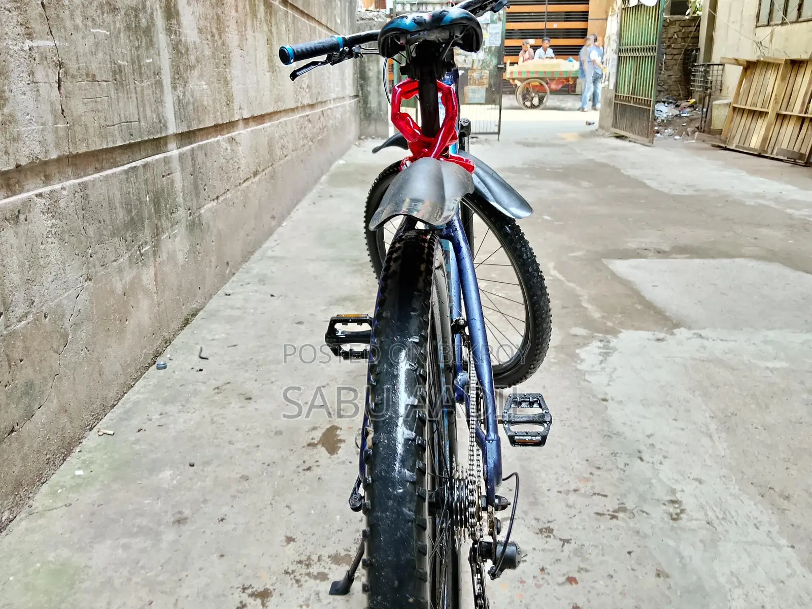 Veloce 26' cycle