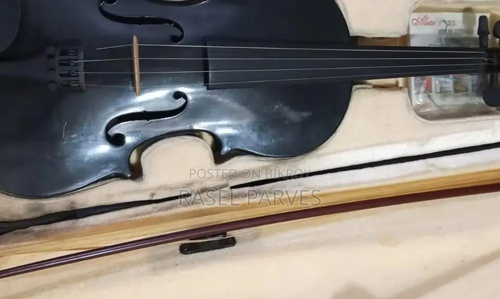 Violin