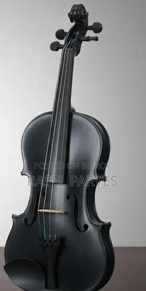 Violin