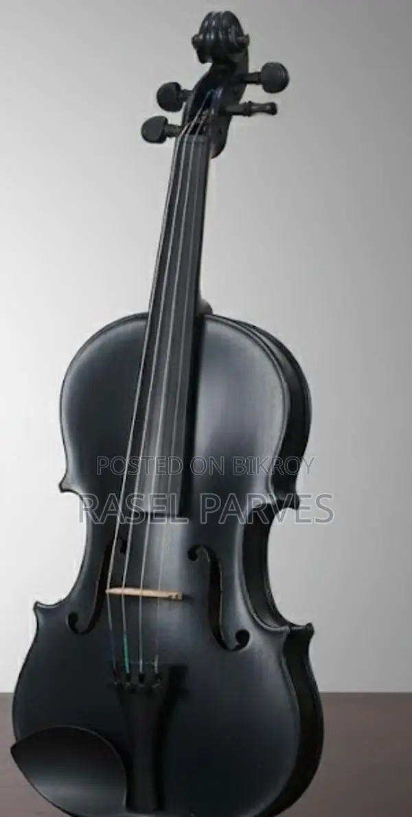 Violin