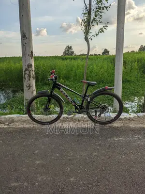 Veloce Bicycle for Sale