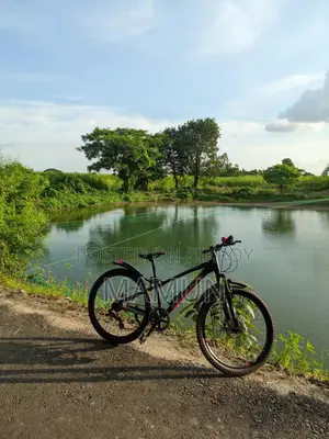 Veloce Bicycle for Sale