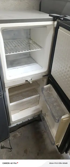 Walton Fridge