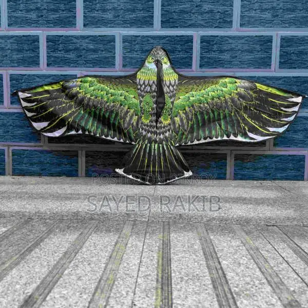 🦅ঈগল ঘুড়ি/eagle Kite🦅
