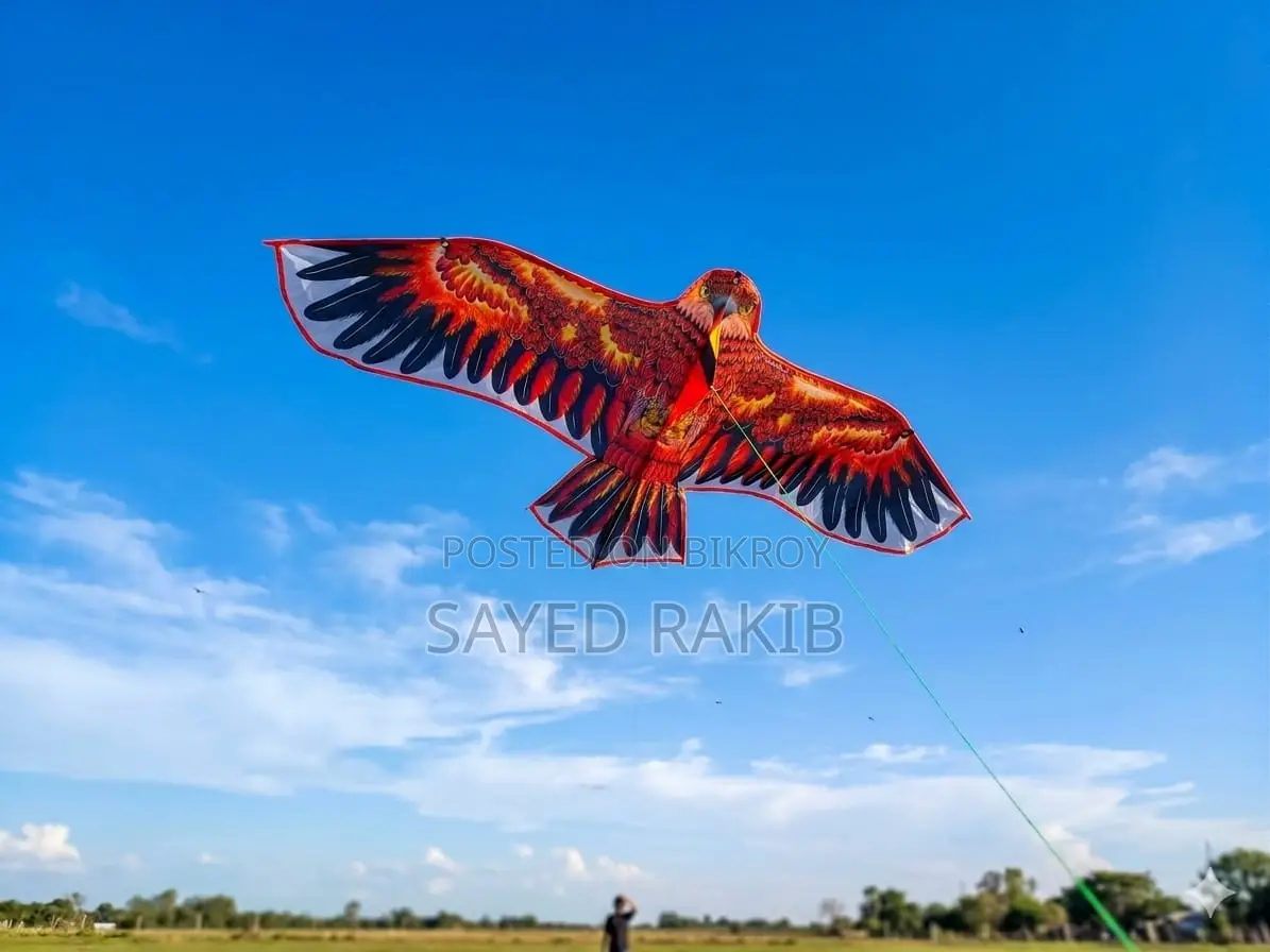 🦅ঈগল ঘুড়ি/eagle Kite🦅
