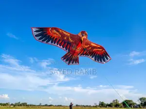 🦅ঈগল ঘুড়ি/eagle Kite🦅