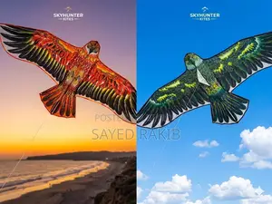 🦅ঈগল ঘুড়ি/eagle Kite🦅