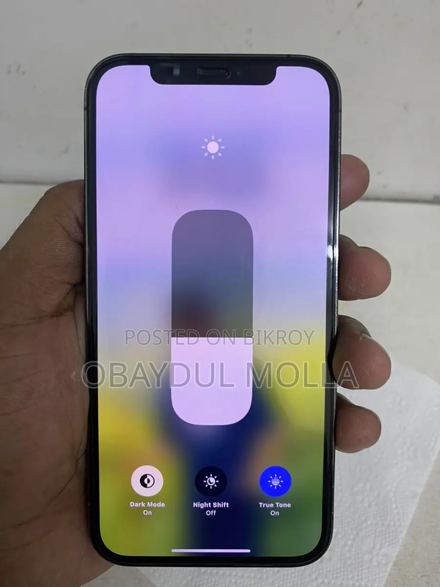 Apple iPhone 12 Pro 256 (Used)