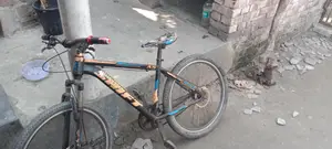 Bicycle Sale